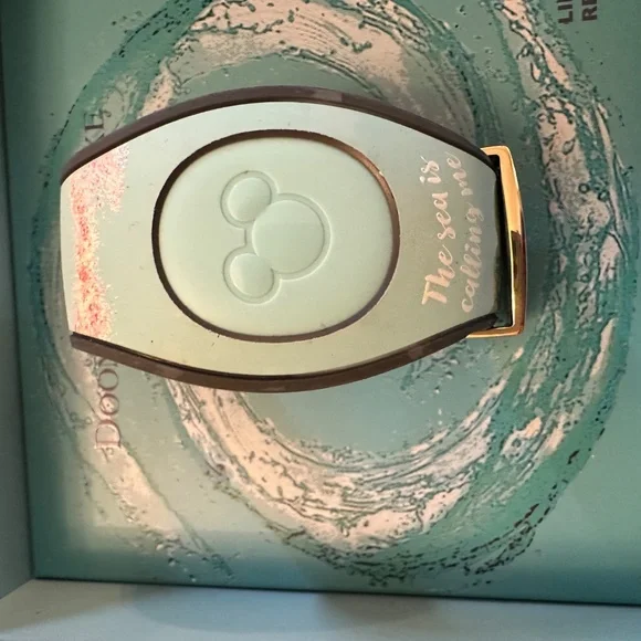 Disneyland Band - Picture 7 of 7